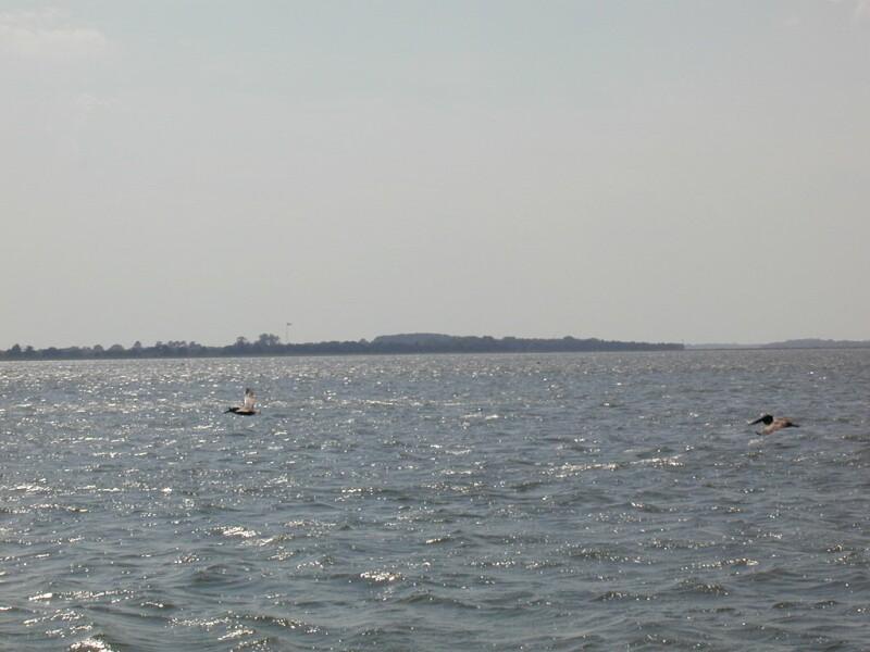 P5190017.jpg, 90242 bytes, 5/20/01