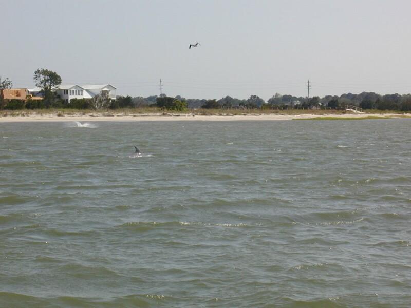 P5190021.jpg, 89525 bytes, 5/20/01