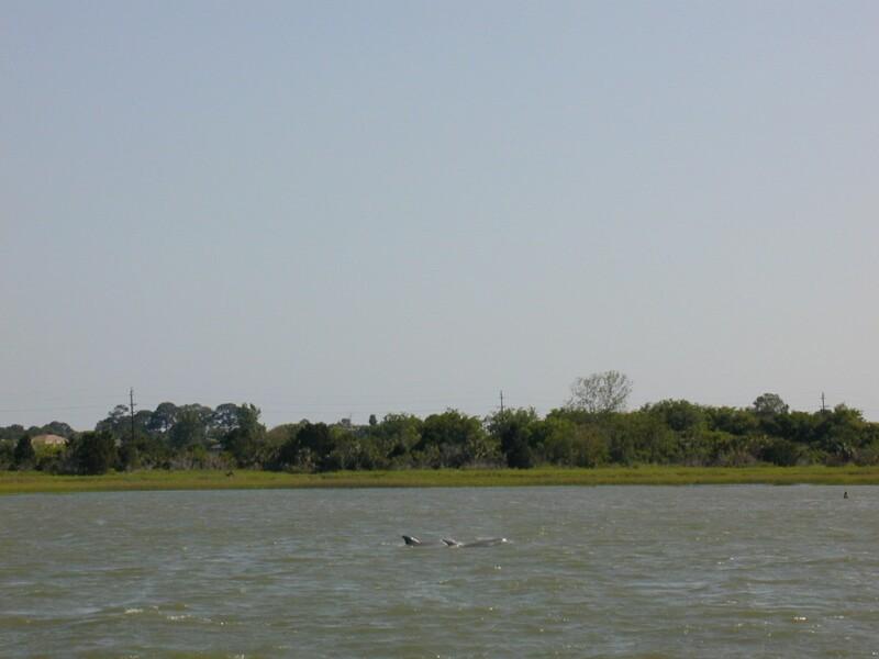 P5190028.jpg, 59592 bytes, 5/20/01