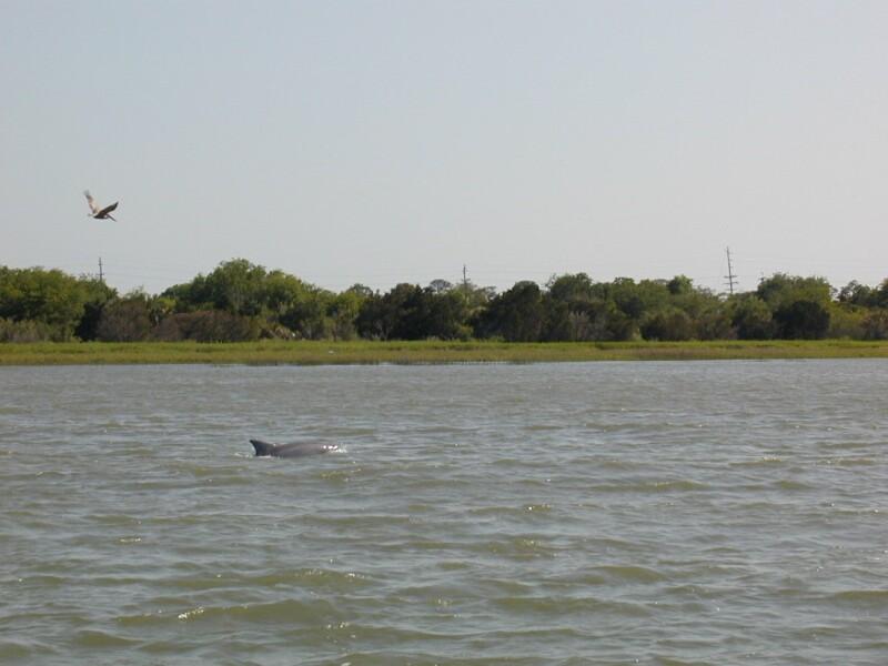 P5190033.jpg, 79775 bytes, 5/20/01