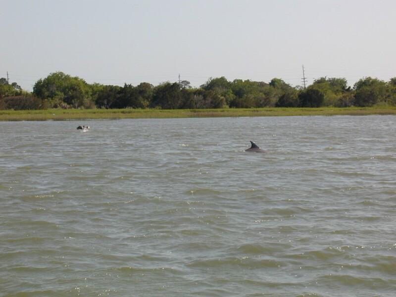 P5190035.jpg, 92813 bytes, 5/20/01