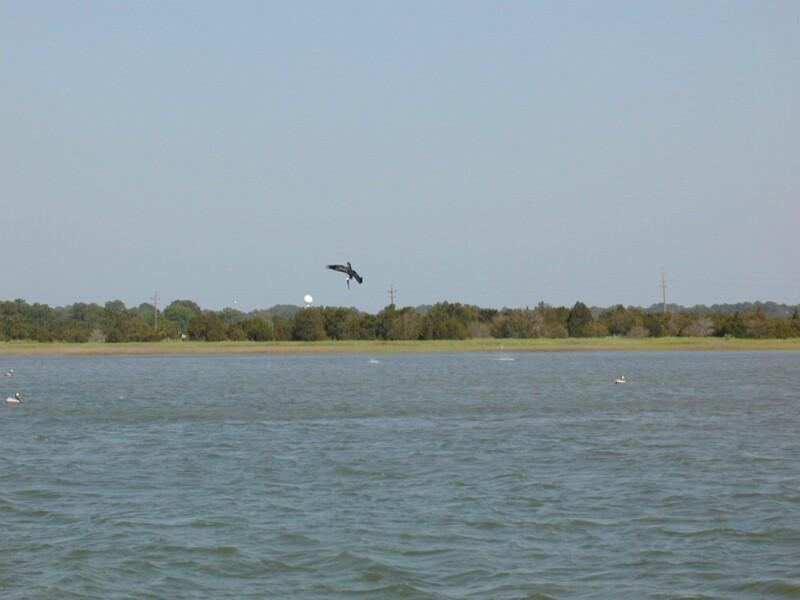 P5190064.jpg, 66340 bytes, 5/20/01