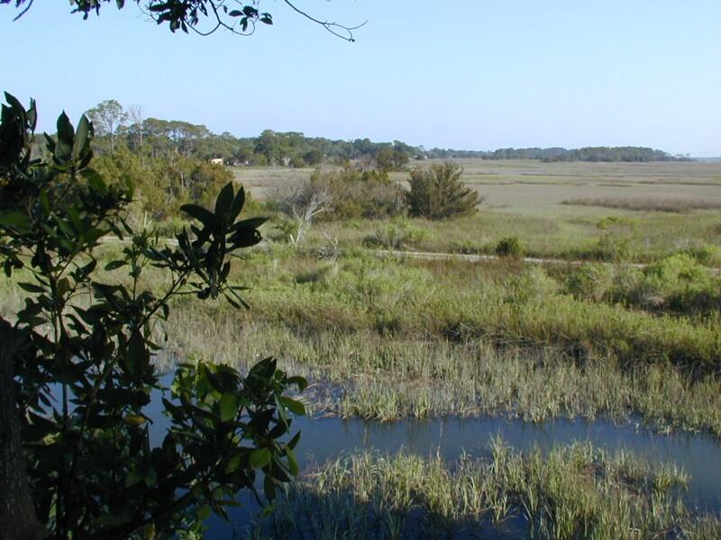 P5190087.jpg, 139666 bytes, 5/20/01